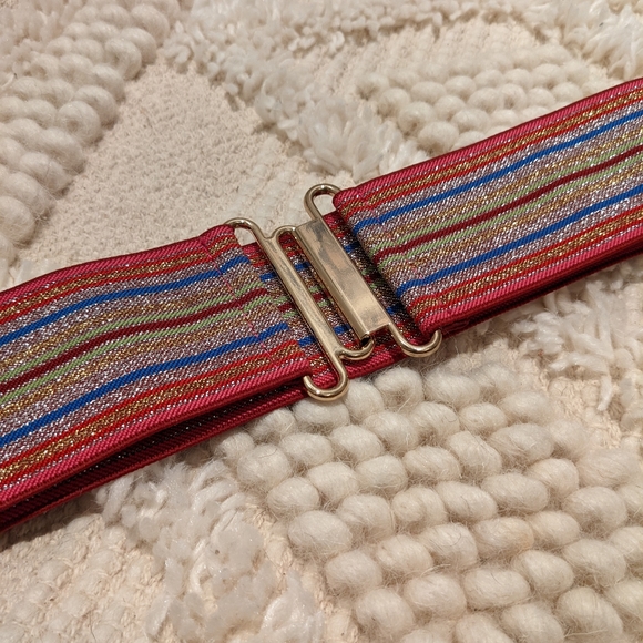 Express Metallic Mutli-color Stretchy Belt - Picture 4 of 6